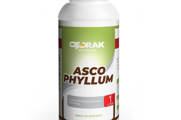 آسکــو فیلــوم ASCOPHYLLUM