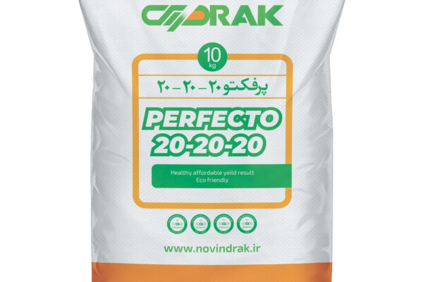 پرفکتو 20-20-20 PERFECTO